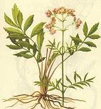 0df3d7ca7bcb0a46675e10336b63f6246b60afb8.jpg 0df3d7ca7bcb0a46675e10336b63f6246b60afb8.jpg